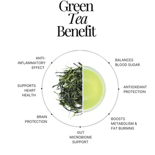 Why Your Morning Deserves Better Than Plain Water: The Case for Green Tea