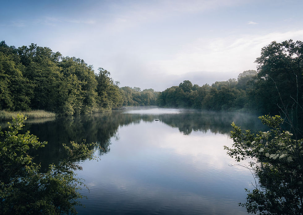 Misty calm lake surrounded by dense green trees, with glassy reflections under a pale morning sky.