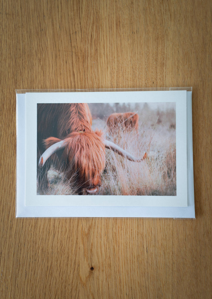 Thumbnail: Highland Cow Forest of Dean Greeting Card