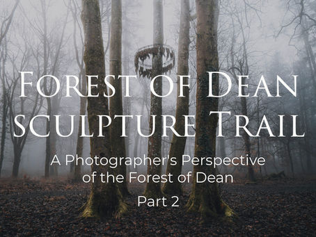Forest of Dean Sculpture Trail: A Photographer's Perspective on the Forest of Dean