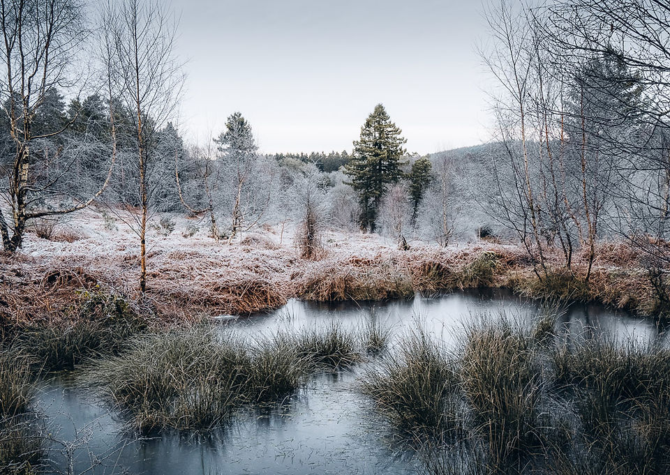 Hidden pond during a frosty morning