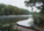 Cannop Ponds in the Forest of Dean, Gloucestershire