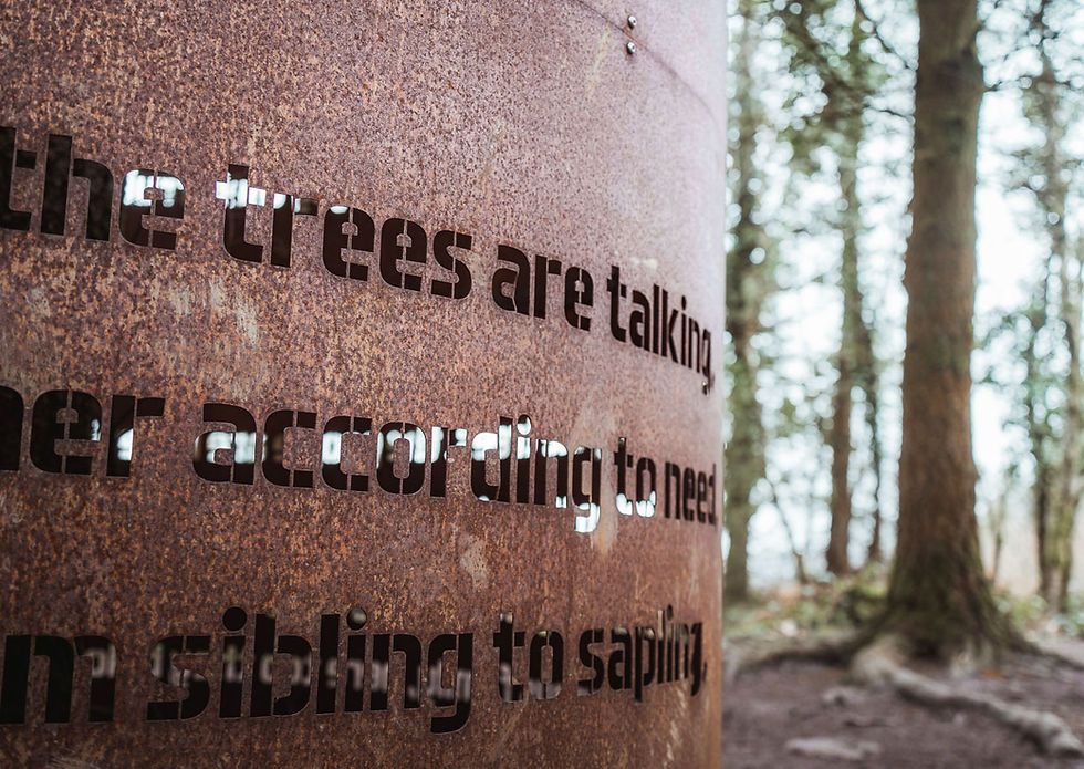 Rusty metal sign with cutout text in a forest, reading The trees are talking, according to ...; soft, quiet woodland scene