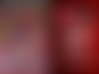 Election Results 2020