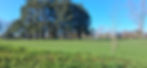 20260302_143315.jpg