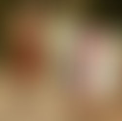 chestnut horse wearing rosettes