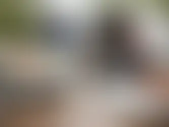 Service Area Business SEO Guide for Leads