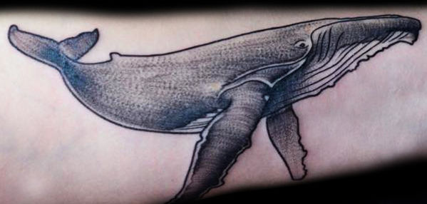 whale-tattoo-tattoosbycaptainbret.jpg