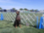 DSCN0856