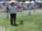 DSCN0785