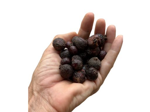 So Simple it's Nuts! How to use Soap Nuts for Multiple Purposes