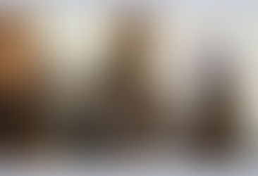 ¿Cómo ser líder capacitador para transformar la realidad con el apoyo de los actores sociales?