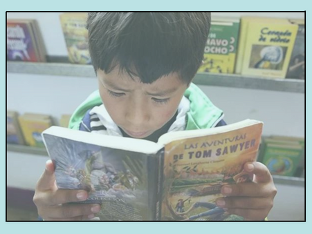 ¿Cuáles son las causas y consecuencias de la baja comprensión lectora en el país?