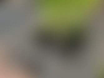 ARCSA: American Rainwater Catchment