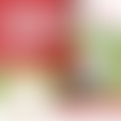 資優兒童 陸地動物 藝術比賽 2025