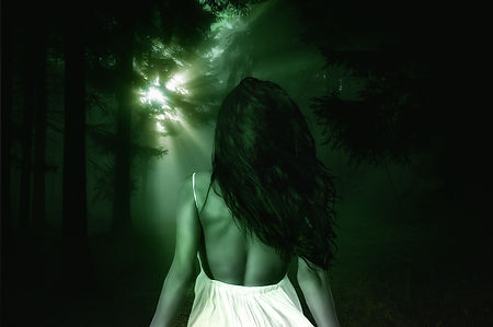 forest-3885329_1920.jpg