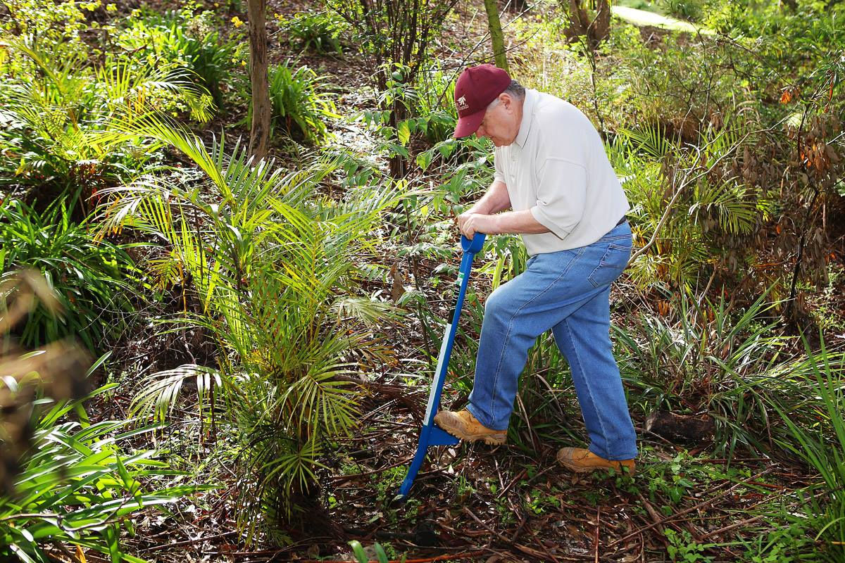 Son Of Prong - Blue - Price includes Delivery