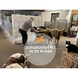 zorgboerderij 1.jpeg