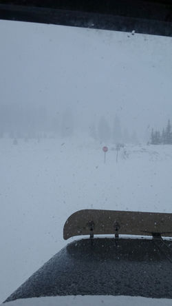 Copy of Samsung Galaxy S6 pictures 1788.jpg