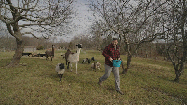 farm.gif