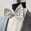 Thumbnail: The "Albany-Creme" Bow