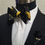 Thumbnail: The Oxford