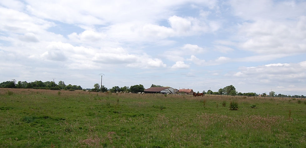 Prairie