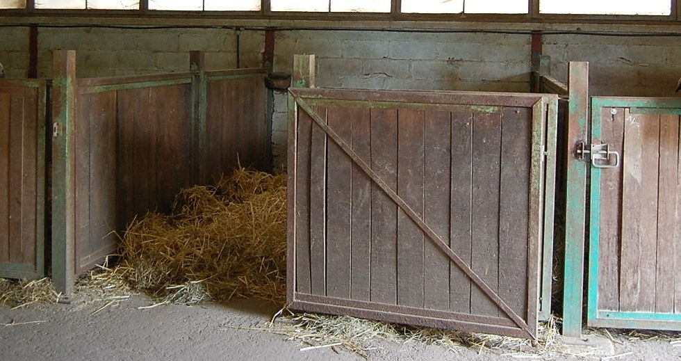 Box 3x4,5m