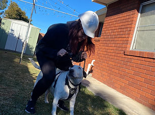 I don't think my dog-horse is very keen for this!