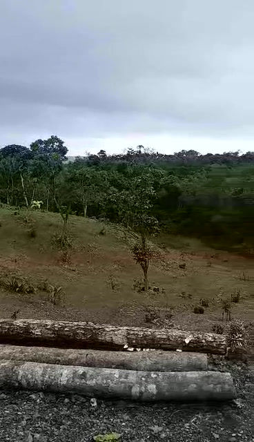 Thumbnail: farm lot view