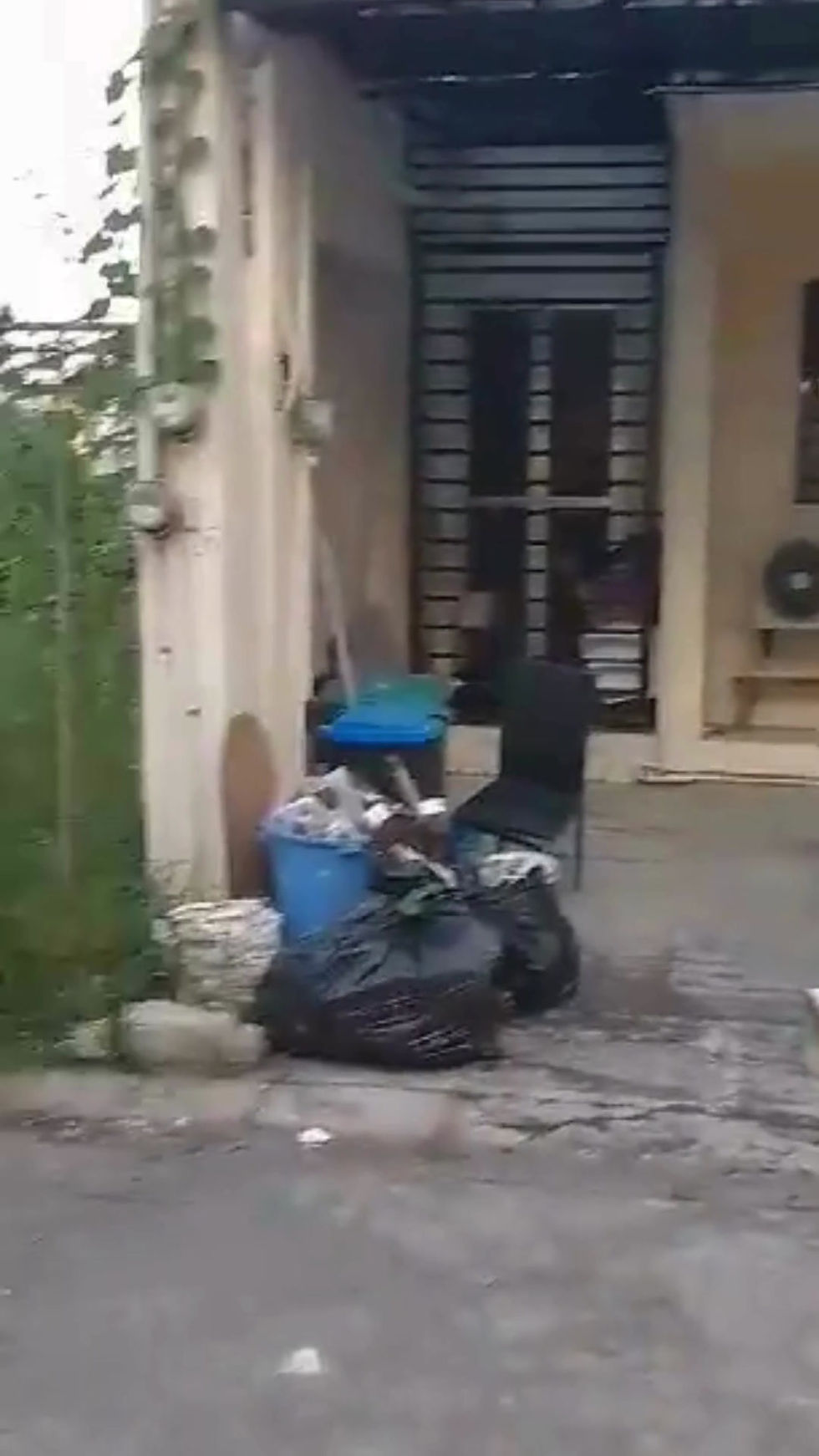 Thumbnail: side view