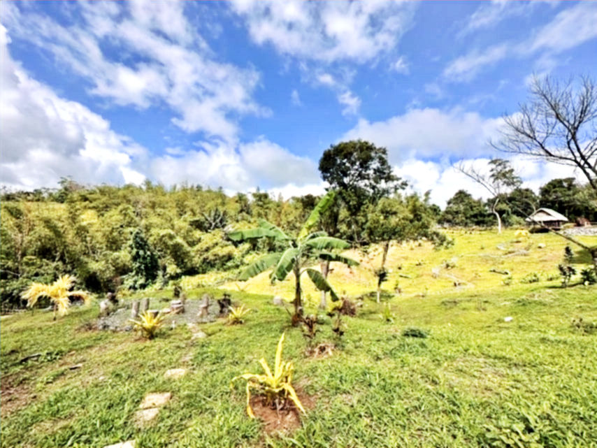 Thumbnail: Residential Lot for Sale near Glamping Sites in Cavinti Laguna