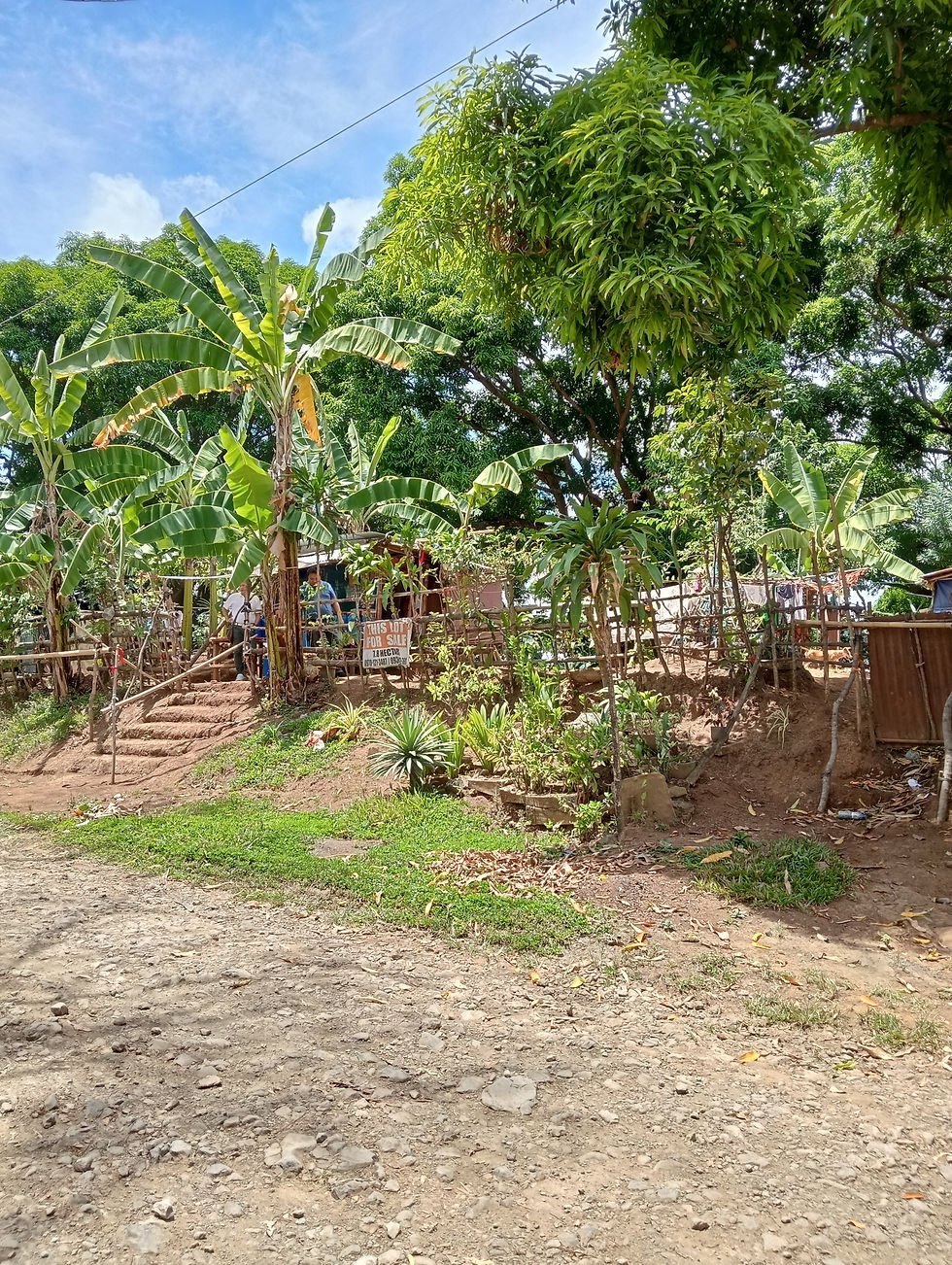 Thumbnail: Road to the farm lot for sale