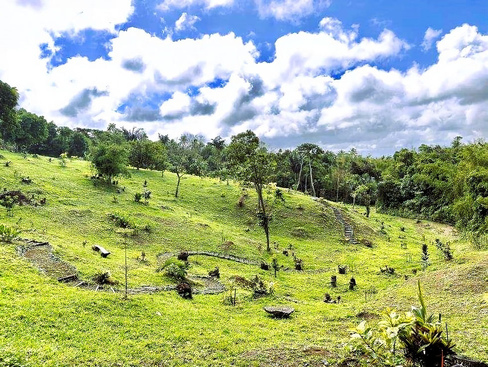 Thumbnail: residential lot