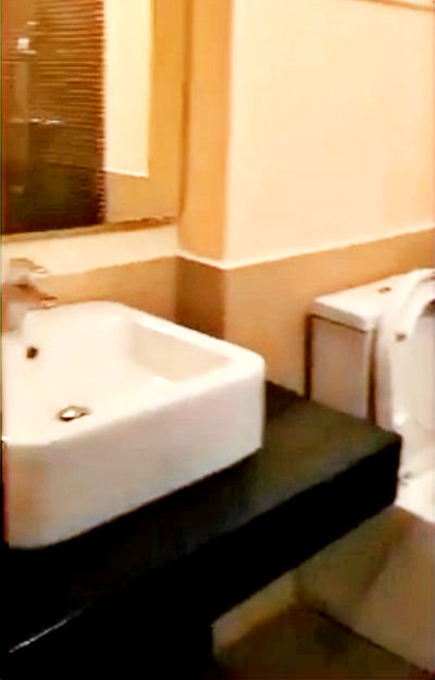 縮圖：toilet sink