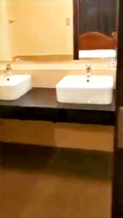 縮圖：double toilet sink