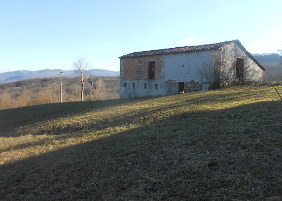 DSCN7701.JPG