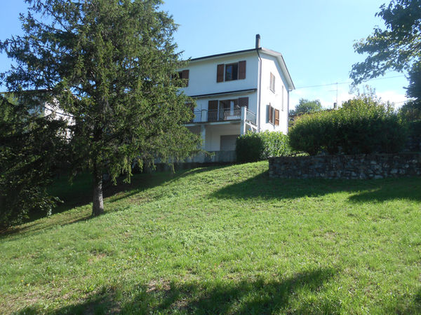 DSCN7101.JPG
