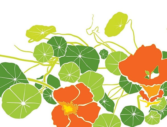 ae96b64ce9498590e486774cba3cdd49--fukushima-art-floral.jpg
