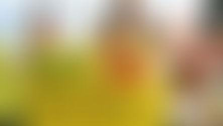 （終了）10月～12月 初級② 第3期 「ハンガリーのホームステイ入門」