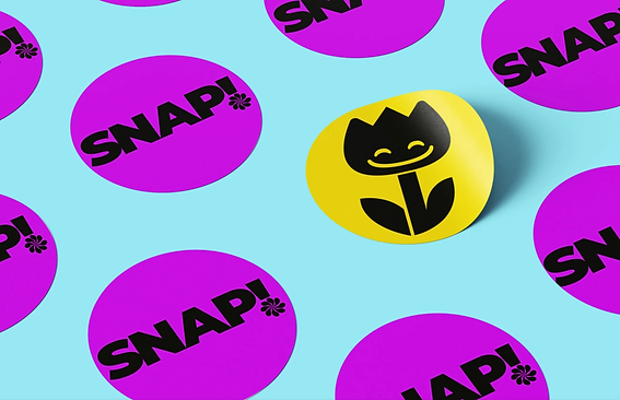 SNAPstickers.png