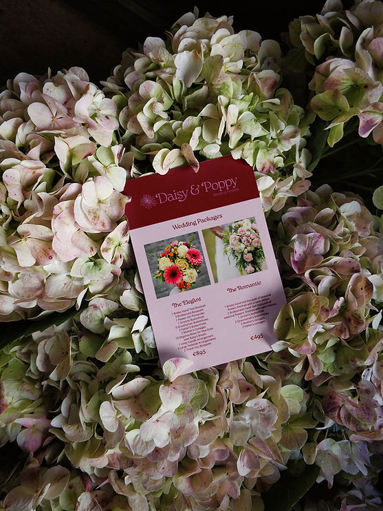 Pricelist photo for Daisy and Poppy wedding packages