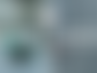 Déchloruration versus la protection cathodique pour les structures en béton armé.