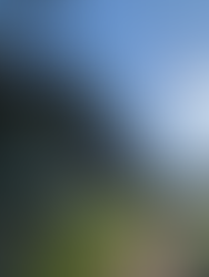 Tribune en béton armé du royal racing club de bruxelles qui sera protégée par protection cathodique à courant imposé