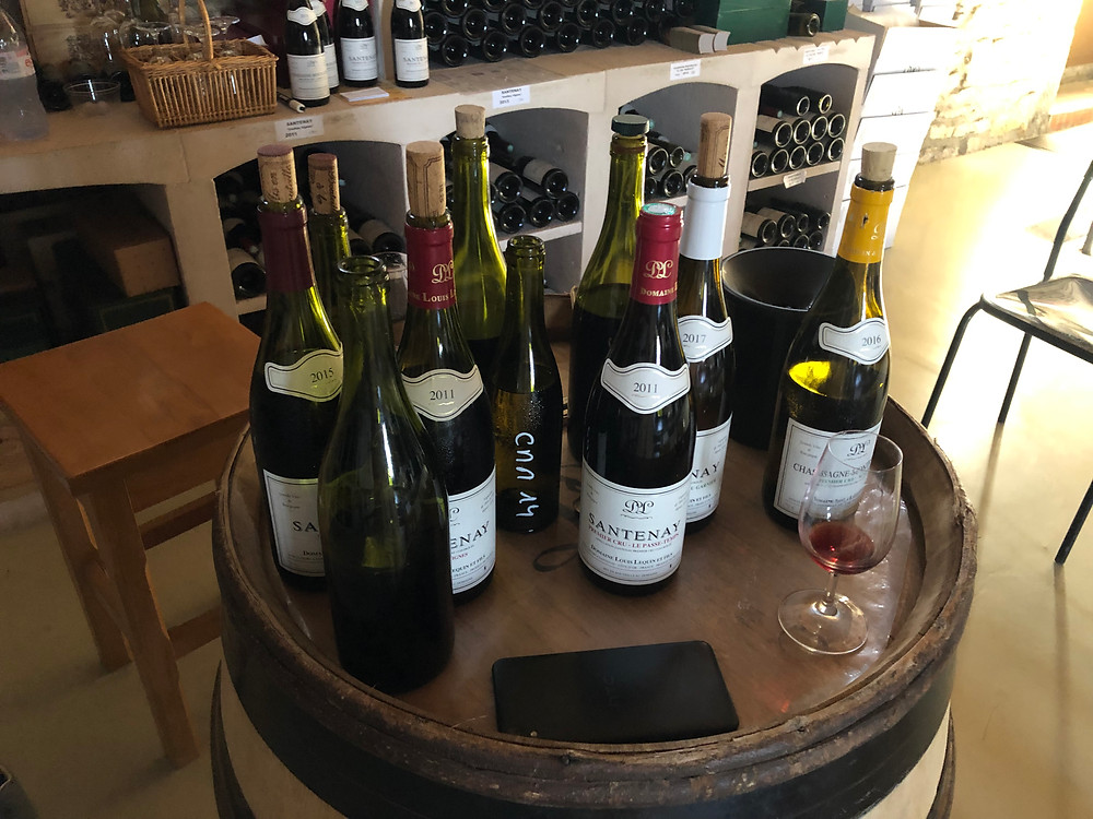 tasting Louis Lequin wines while visiting the domaine in Santenay during my Burgundy wine study trip