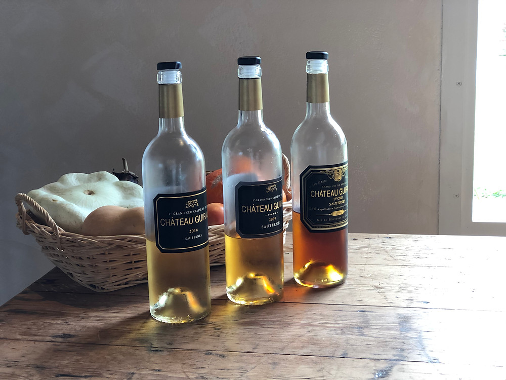Organic Sauternes wine tasting at Chateau Guiraud in Sauternes during a wine study trip