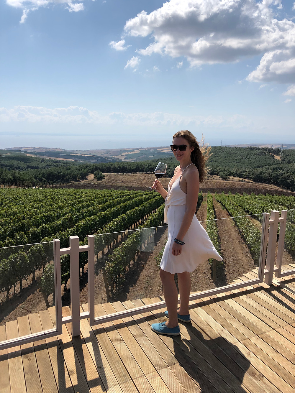 Turkish winery tours from Istanbul with a WSET guide