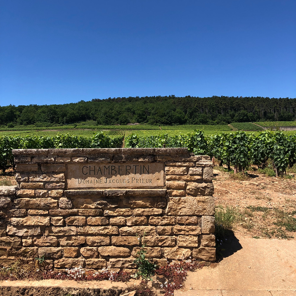 Domaine Jacques Prieur vineyard in Gevrey-Chambertin Cote de Nuits in Burgundy