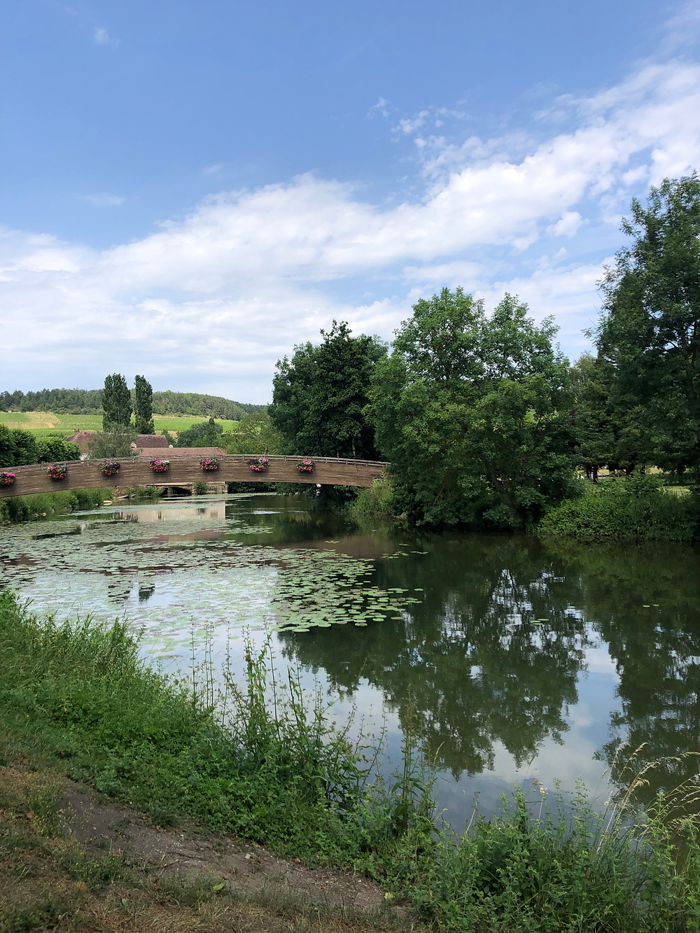 Serein river with a view over the Chablis vineyards on the background