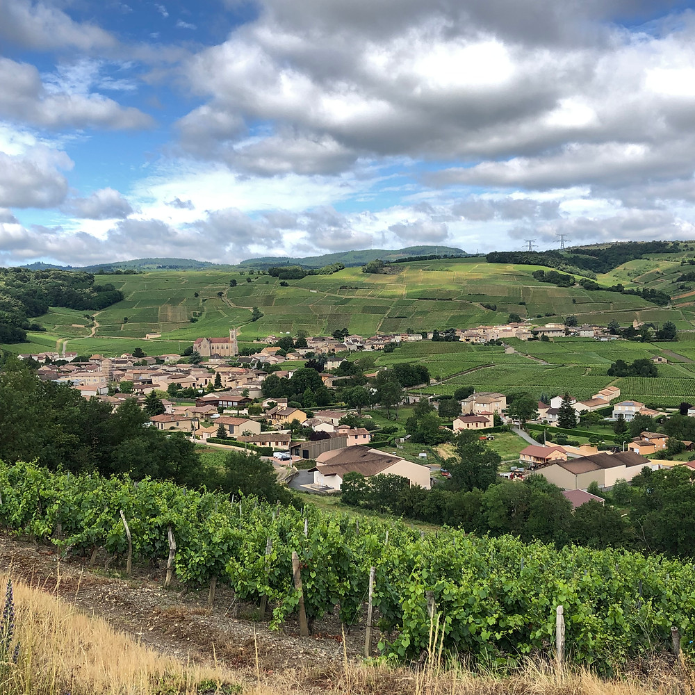 View over Fuisse village coming from Macon with the Chardonnay vineyards of Pouilly-Fuisse on the hills